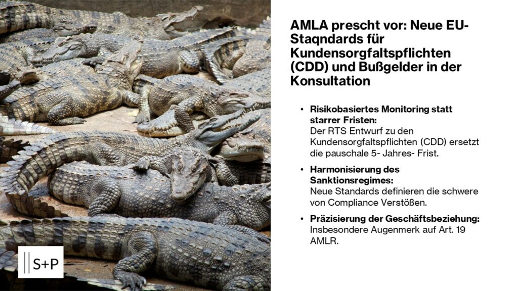 AMLA prescht vor: Neue EU- Staqndards für Kundensorgfaltspflichten (CDD) und Bußgelder in der Konsultation